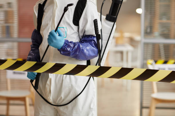 Professional Sewage Cleanup technician working in Hobbs, IN